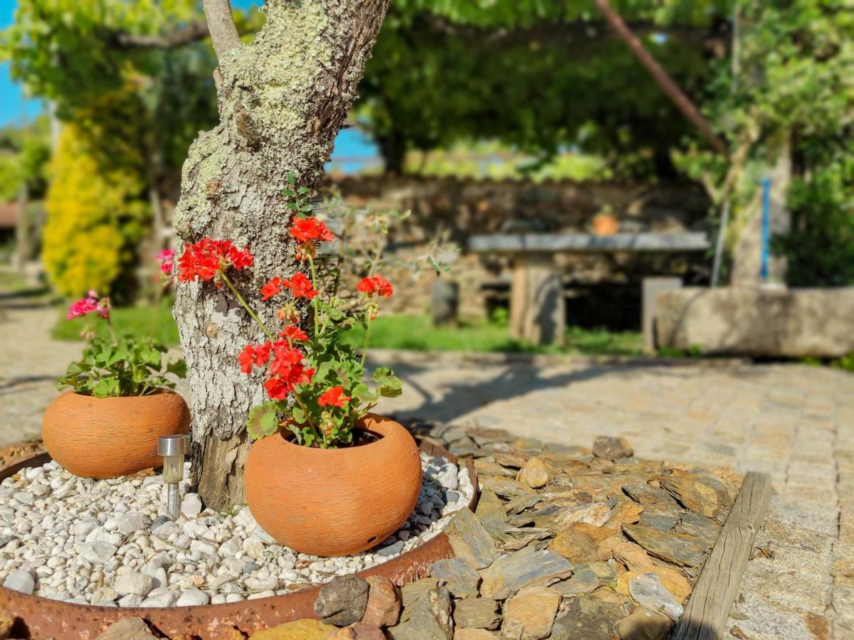 Casa Do Casal - Country House With Swimming Pool เวียนา โด กัสเตโล ภายนอก รูปภาพ